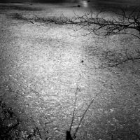 peter krummenacher, krummenacher, painting, Malerei, Bilder, abstract art, photography, Fotografie, art, hypnognosis